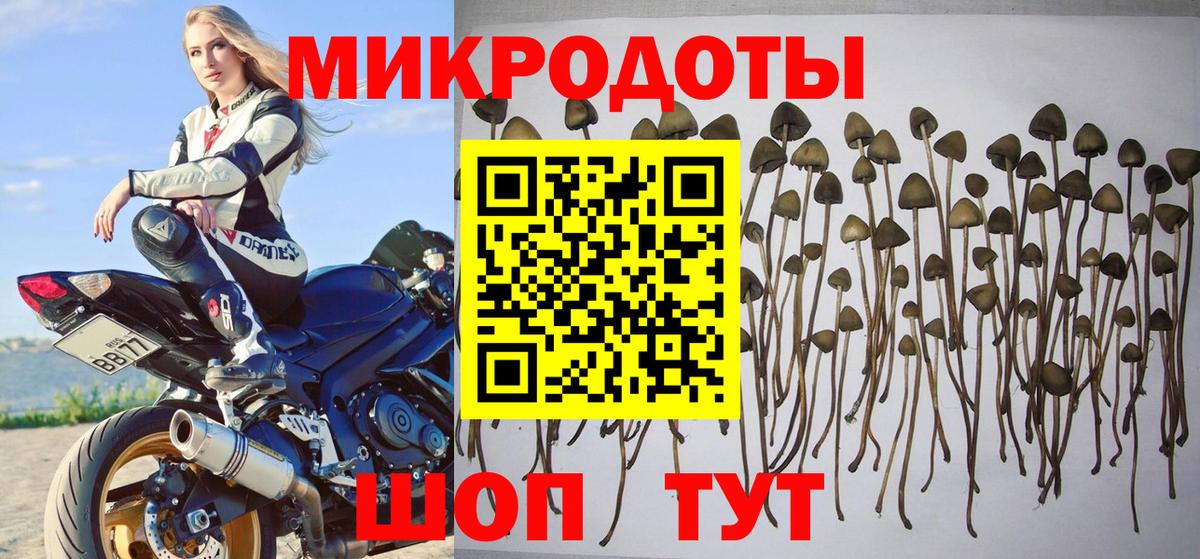Сокол  Галлюциногенные грибы мухоморы  Псилоцибиновые грибы MAGIC MUSHROOMS  Вход с VPN 