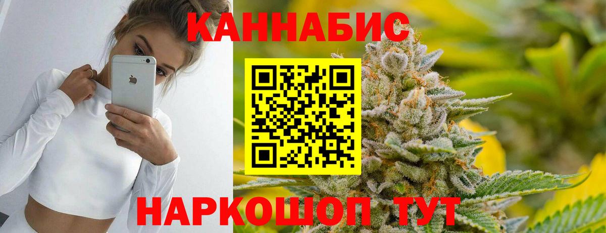 Бошки марихуана MAZAR Сокол